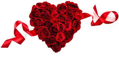 Red heart-shaped bunch of roses viewed from the top with a scrolling red ribbon behind them